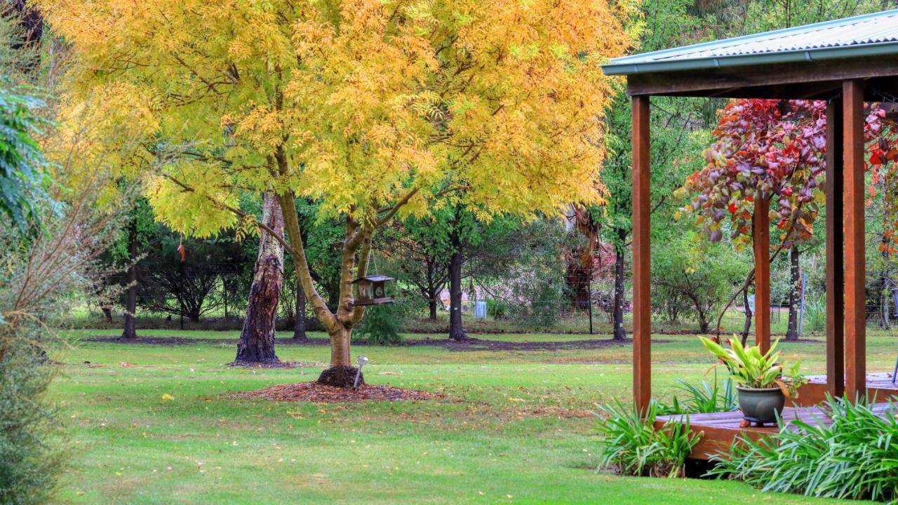 Beechworth Cedar Cottages Eksteriør billede